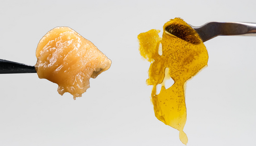 Badder vs. Rosin: Understanding Two Unique Cannabis Concentrates ...